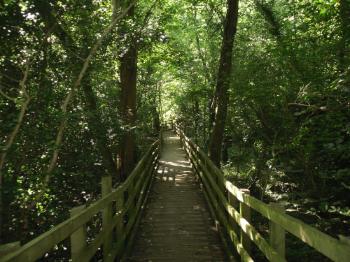 Dingle - Nant Y 
Pandy