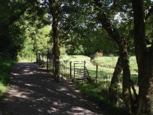 www.anglesey-hidden-gem.com - Llangefni Nant y Pandy Path