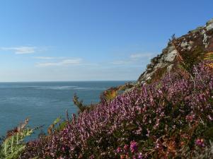 Anglesey Hidden Path - Cemaes Bay - Anglesey Hidden Gem