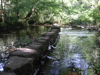 Dingle Walk at Llangefni