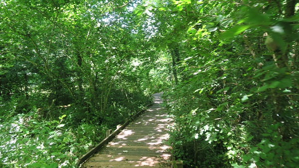 Dingle to Nant y Pandy, Llangefni, anglesey-hidden-gem.com