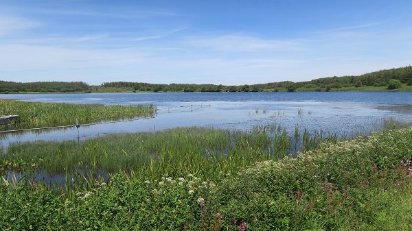 Dingle to Nant y Pandy, Llangefni, anglesey-hidden-gem.com