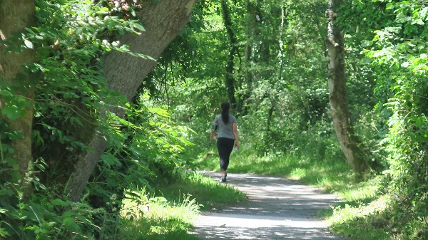 Dingle to Nant y Pandy, Llangefni, anglesey-hidden-gem.com