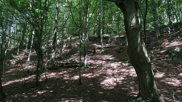 Dingle to Nant y Pandy, Llangefni, anglesey-hidden-gem.com