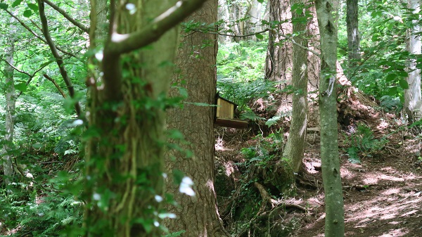 Dingle to Nant y Pandy, Llangefni, anglesey-hidden-gem.com