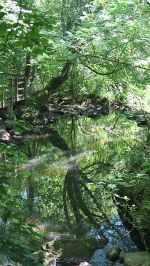 www.anglesey-hidden-gem.com Dingle Boardwalk Stone Weir Llangefni