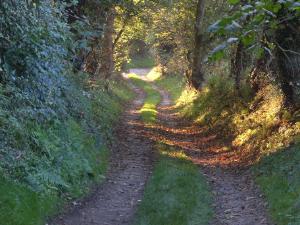 Dulas Bay Autumn Evening