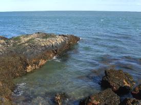 Dulas Rocky Shore