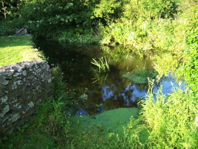 Llyn Llywenan