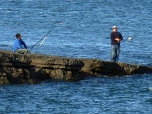 Fishing Off the Ledges