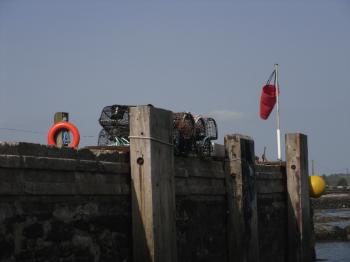 Foel Ferry - Brynsiencyn