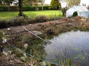 Anglesey Frogspawn Emergency