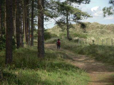 Llanddwyn Beach - Newborough