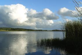 Llyn Llywenan