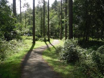 Llyn Parc Mawr - Newborough Forest