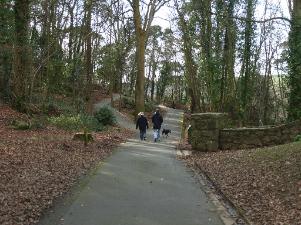 Coed Cyrnol Woods in Menai Bridge - Anglesey Hidden Gem