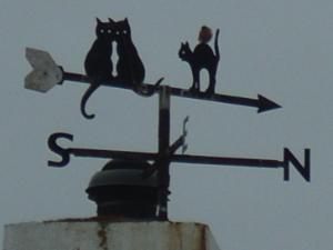 Anglesey-Hidden-Gem.com - Moelfre Feline Windvane