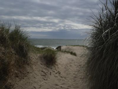 Newborough Forest Walk to Llanddwyn Beach - www.anglesey-hidden-gem.com