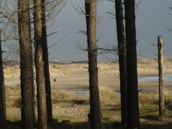 Newborough Forest Walk to Llanddwyn Beach - www.anglesey-hidden-gem.com