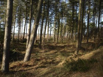 Castell Bryngwyn Ancient Monument