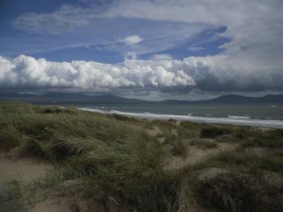 Newborough Forest Walk to Llanddwyn Beach - www.anglesey-hidden-gem.com