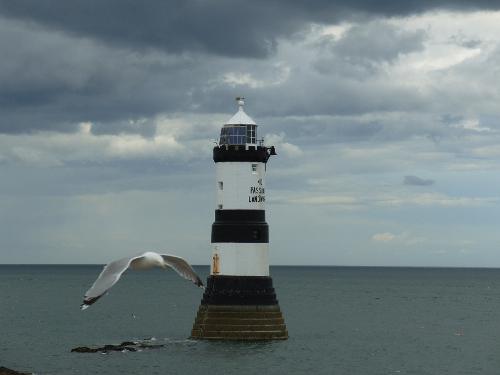 Penmon Lighthouse & Giant Seagull