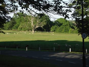 Plas Pencraig Llangefni Story. www.anglesey-hidden-gem.com