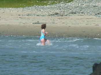 Anglesey Porth Trwyn Brave Swimmer