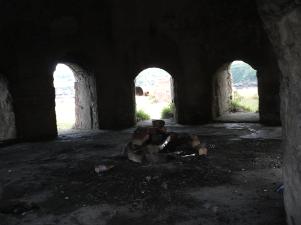 Porth Wen Brick Works Kiln www.anglesey-hidden-gem.com