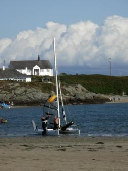 Rhoscolyn Horsies