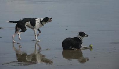 Rhosneigr Beaches Main Page - Anglesey Hidden Gem