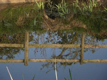 Cors Ddryga - Malltraeth Marsh Today