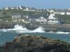 Rock Hoppers at Trearddur Bay, Anglesey