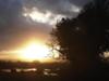 Marshland Winter Sunset