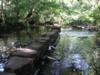 Dingle Walk at Llangefni