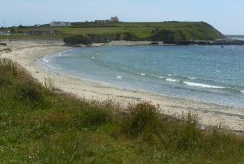 Trefadog Beach