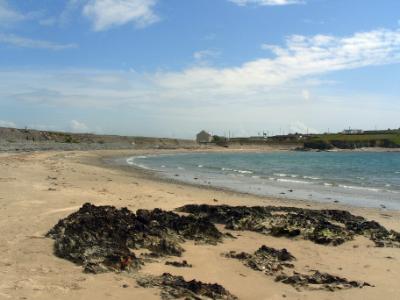 Seaweed Beach