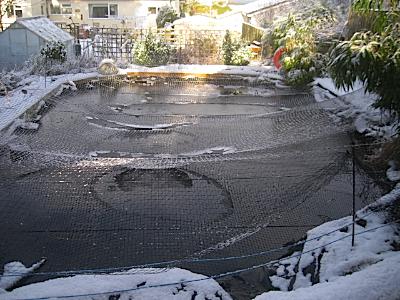 Wendy Steele's Garden - Bull Bay Anglesey