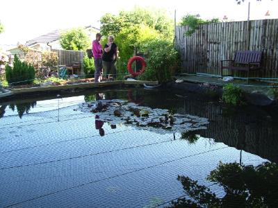 Wendy Steele's Pond Wendy Steele's Pond