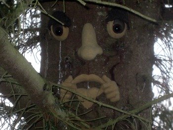 Wendy's Reflective Woodland Friend Wendy's Reflective Woodland Friend
