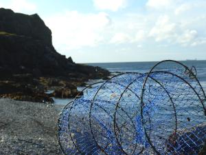 White Beach Fish Trap