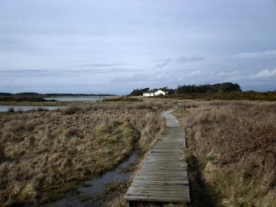 Anglesey Ynys
Leurad