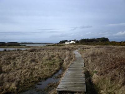 Anglesey Ynys 
Leurad